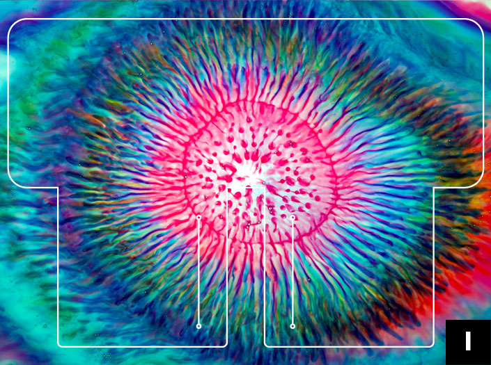 AOHPAの二つ折り財布のバリエーション9